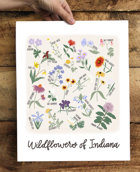 PRINT- Wildflowers of Indiana