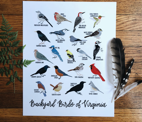 PRINT- Backyard Birds of Virginia
