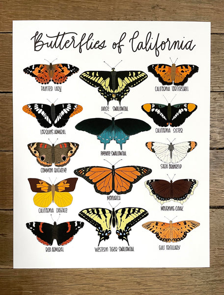 PRINT- Butterflies of California