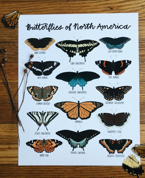 PRINT- Butterflies of North America