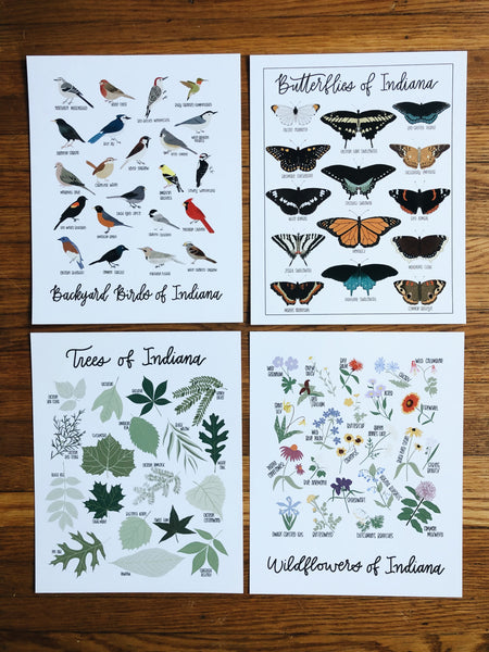 8x10 Natural History Print Bundle
