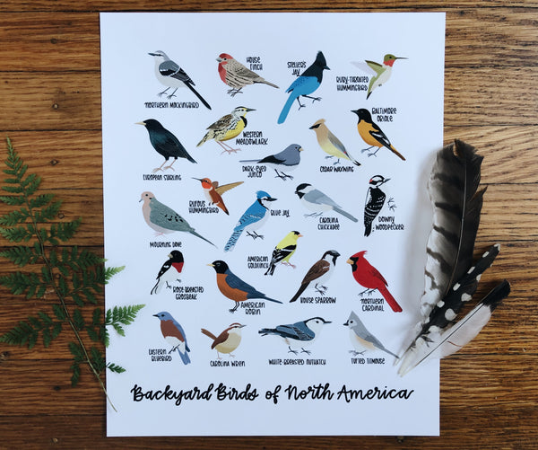 PRINT- Backyard Birds of North America