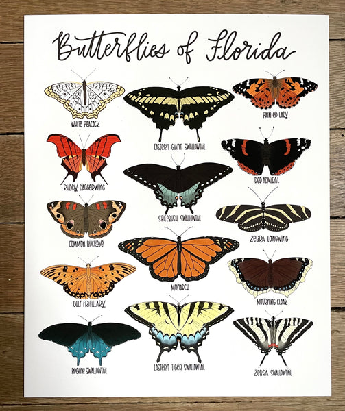 PRINT- Butterflies of Florida