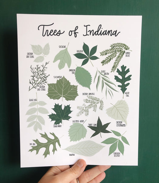 PRINT- Trees of Indiana
