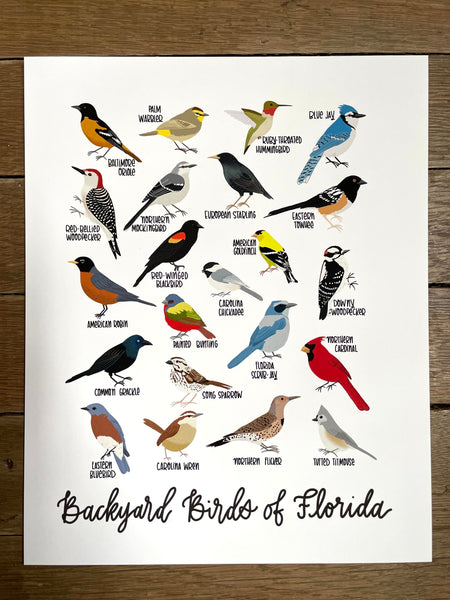 PRINT- Backyard Birds of Florida