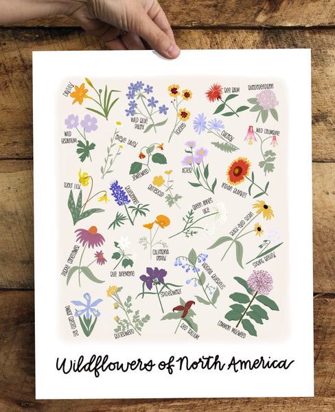 PRINT- Wildflowers of North America