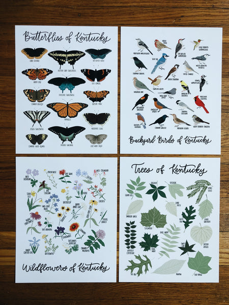 11x14 Natural History Print Bundle