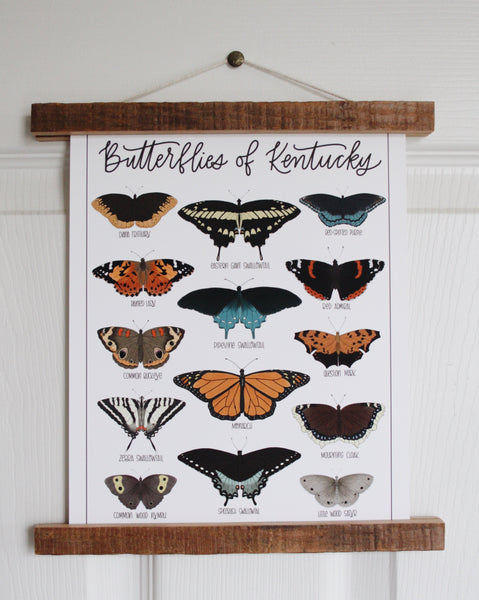 PRINT- Butterflies of Kentucky