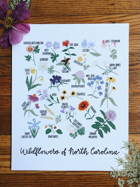 PRINT- Wildflowers of North Carolina