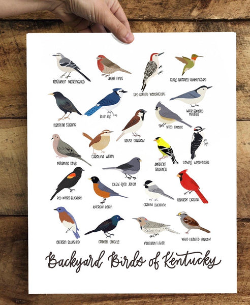PRINT- Backyard Birds of Kentucky