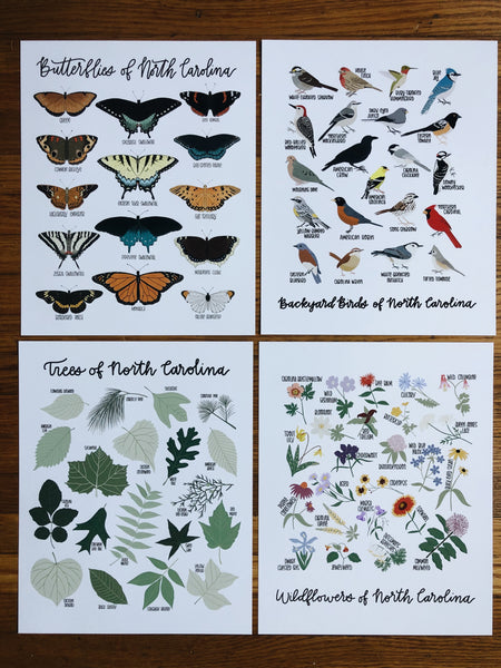 8x10 Natural History Print Bundle