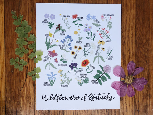 PRINT- Wildflowers of Kentucky