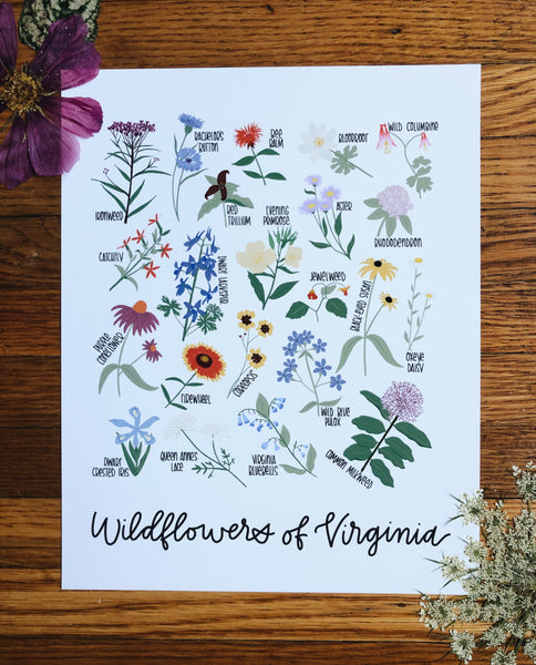 PRINT- Wildflowers of Virginia