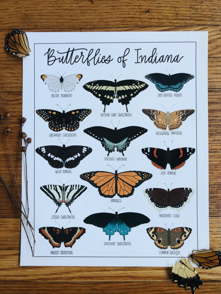 PRINT- Butterflies of Indiana