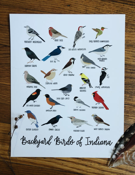 PRINT- Backyard Birds of Indiana