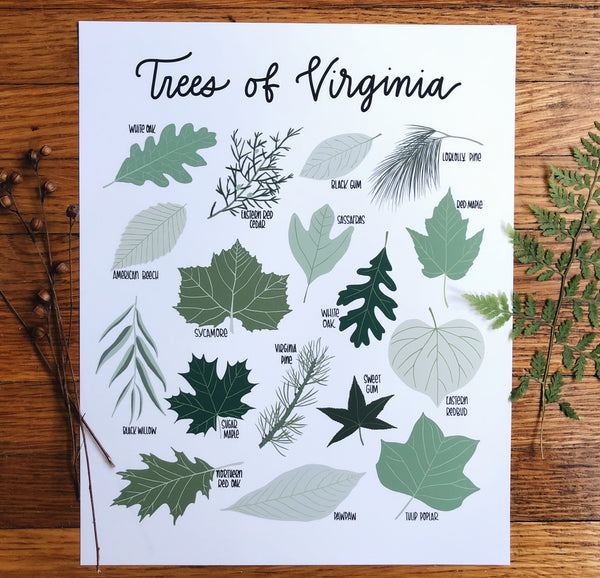PRINT- Trees of Virginia